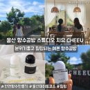 스튜디오 치유(CHEEU)