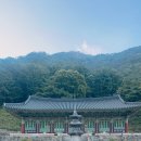 삼화사 | 삼척 무릉계곡 힐링 여행, 아픔을 싯어낸 삼화사 방문 솔직 후기(feat. 아이와 함께 마음 치유)
