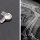 (주)메디텍 이미지