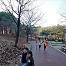 개화산공원 Daum카페