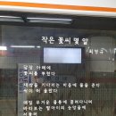 작은 꽃씨 몇 알 - 최영규 이미지