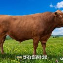 한우 - 강동구 진황도로27길 4 | 한우
