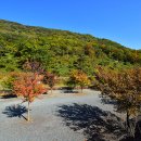 청도그린나래캠핑장 이미지