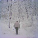 오남2리 Daum카페