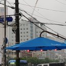 동서울녹십초