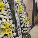 대구이로운전문장례식장