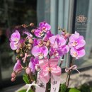 동래문화회관 이미지