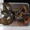 큰어리골 쉼터 이미지