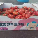무농약] 대추방울 토마토 이미지