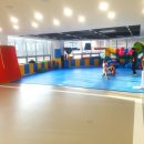 천년태권도체육관 이미지