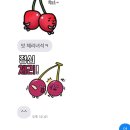 체리노래바 이미지