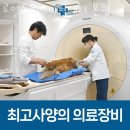 면목동-146 이미지