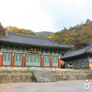 삼애식품 이미지