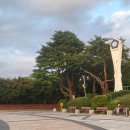 문화의거리_동 이미지