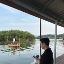가마치통닭예산