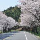 우리석유 이미지