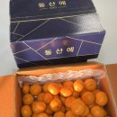 동산축산 | [공지] 1.27.새벽달콤. 천상계의 귤 _하례귤향 3kg &amp;동산에
