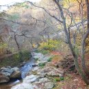 동학사주변 산책, 공주 상신리 도예전시판매장 이미지