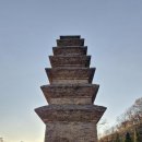 도반