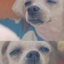 더원푸드 이미지