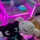 네일오퓰