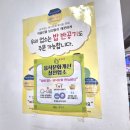 제주 현지인 로컬 맛집 백성원 해장국