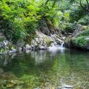 계곡사슴팬션 이미지