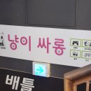 냥이싸롱 이미지