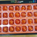 숲속맑은꼴
