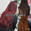 수험생 고객님 리얼 후기✨ 아크미헤어 셀프염색 블랙빼기 → 쿨톤레드염색 완성기