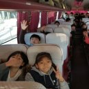용인대 현대태권도장 이미지