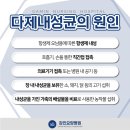 장기가축병원 네이버블로그