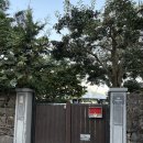 빈도롱이가 | 제주 서귀포 숙소 추천 빈도롱이가 내돈내산 후기