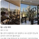 골든타임핏 이미지