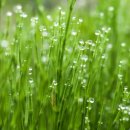 그해여름 이미지