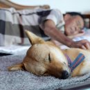 메리랑 메롱이네 이미지