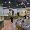 미호박물관 이미지