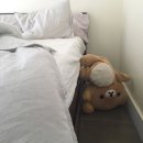스타벅스 바리스타 근무 후기(한달)