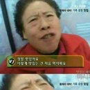 돼지세상 이미지