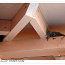 죽여주는동치미국수 - 안산시 단원구 대선로 343-3 | 죽여주는동치미국수