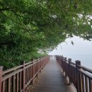 해수욕장길 이미지