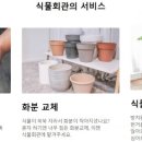번성팜 이미지