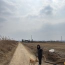 내사랑김밥 | [봉사] 칭구와 함께 애니모어 봉사 후기 - 내사랑 바둑이 3번째 방문🐶🤎