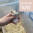 (주)폴리모프 네이버블로그