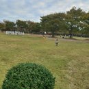 을숙도 생태공원 이미지