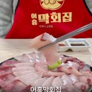어흥막회집 | 거제 고현동 어흥막회집 대방어 매운탕 맛집 솔직후기