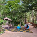 호돌유치원 이미지