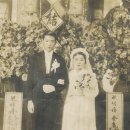 이금주 카카오 검색결과