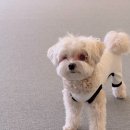 오알카페 이미지