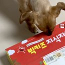 동일하이빌 후문 횡단보도 | 유아 소전집: 누리과정 지식책, 빅키즈 지식자람